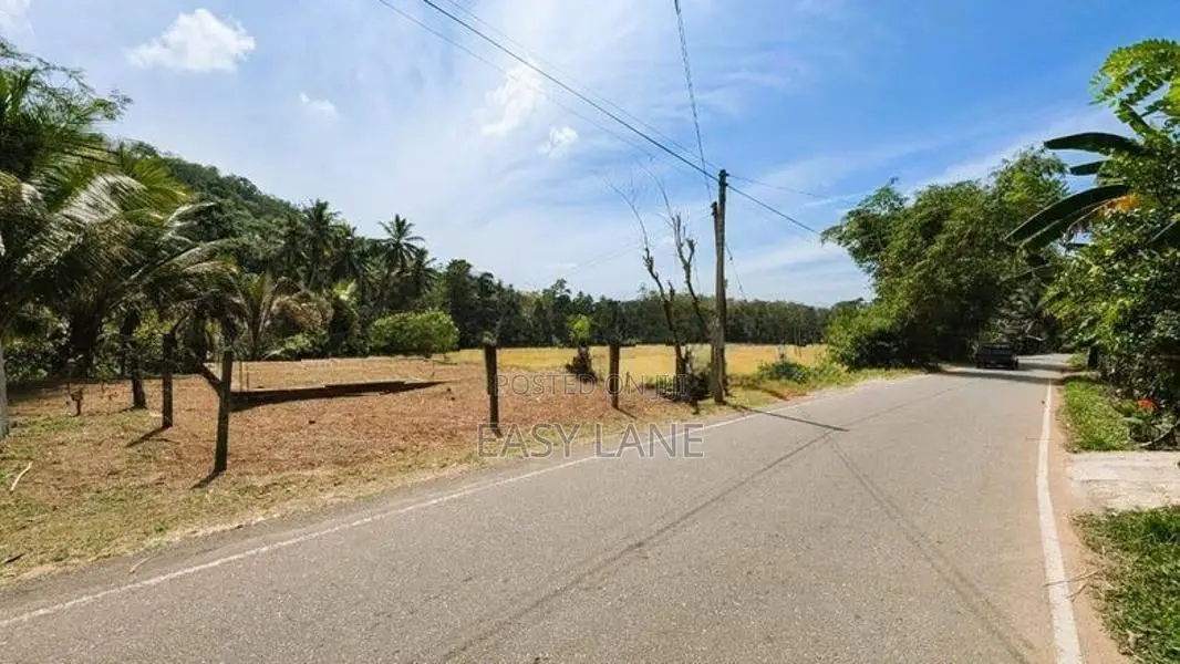 හංවැල්ල පර්චස් 17.5 ඉඩමක්