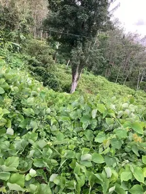 10 acres iLAND for SALE in DEHIOVITA Atulugama