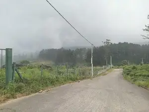 Forest View Point Land For Sale Nuwara Eliya