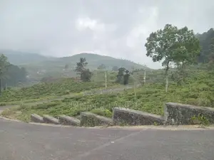 Land for Sale Nuwara Eliya Road