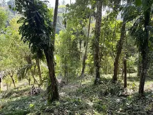 Land for Sale in Kandy