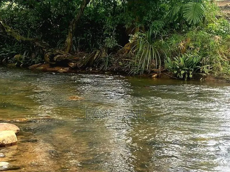 කිරිඳි ඔයට මායිම්ව ඉඩමක් විකිණීමට