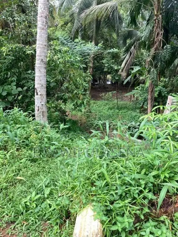 28.7 PERCH LAND FOR SALE in Malabe