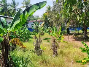 වේයන්ගොඩින් Highway පිවිසුමට විනාඩ් 5 අගනා ඉඩමක්
