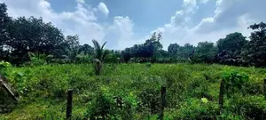 10 Perch land for Sale in Godagama