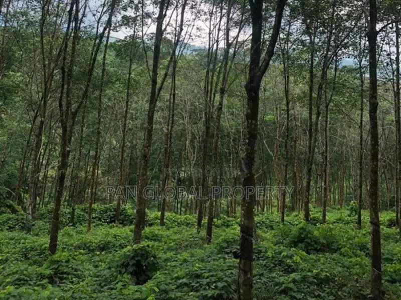 Estate for Sale in Rathnapura