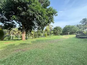 Coconut Estate for Sale in Matara