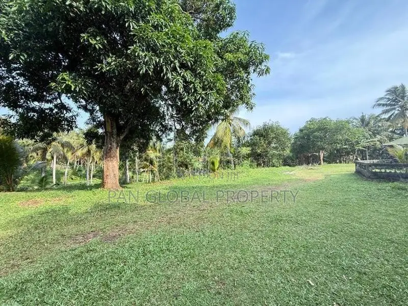 Coconut Estate for Sale in Matara