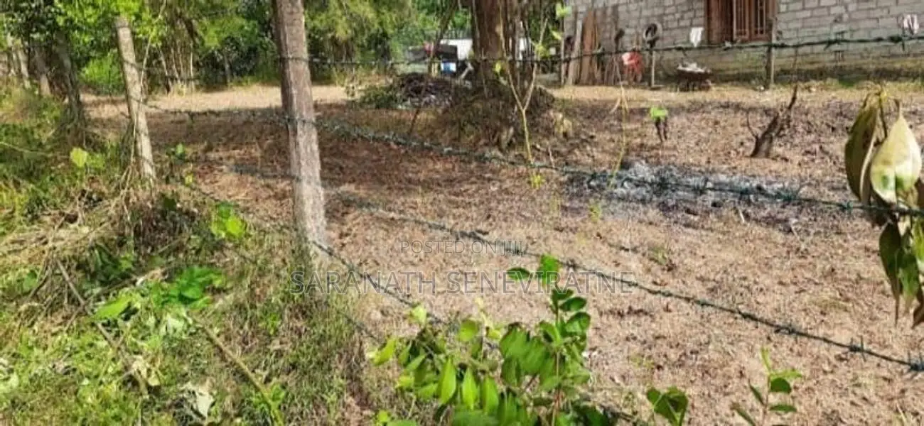 Land in Kiriwaththuduwa Homagama කිරිවත්තුඩුවේ ඉතාමත් සුදුසු ඉඩමක්