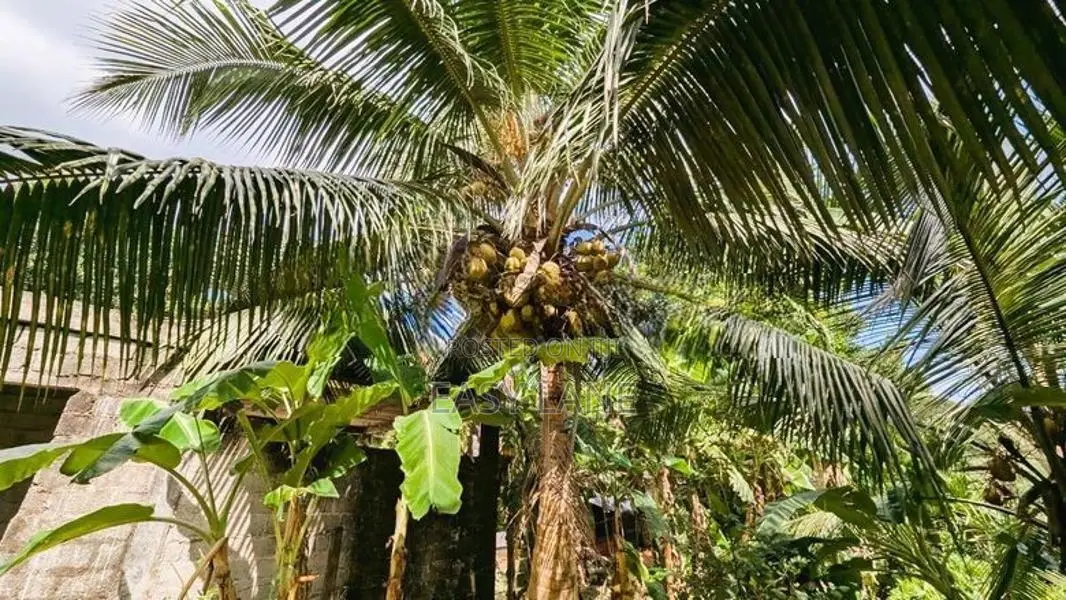 හංවැල්ල පර්චස් 17.5 ඉඩමක්