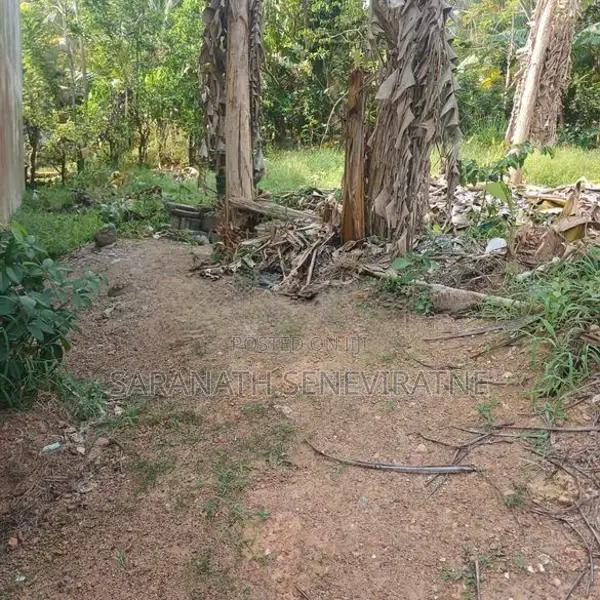 Land in Magammana Homagama