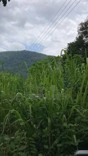 10 acres iLAND for SALE in DEHIOVITA Atulugama