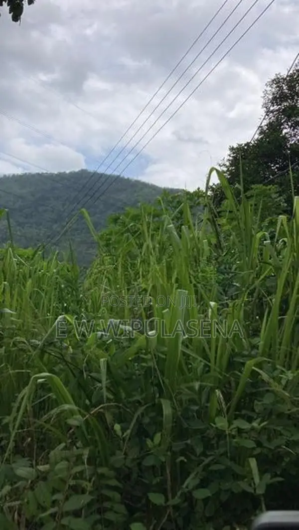 10 acres iLAND for SALE in DEHIOVITA Atulugama