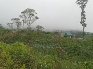 Forest View Point Land For Nuwara Eliya