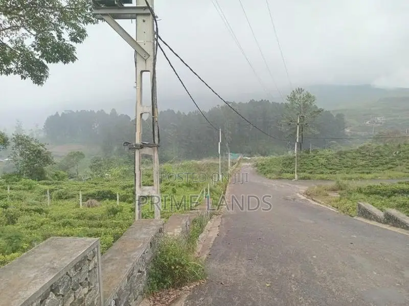 Forest View Point Land For Sale Nuwara Eliya