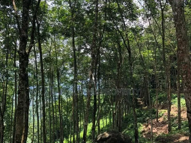 Estate for Sale in Rathnapura