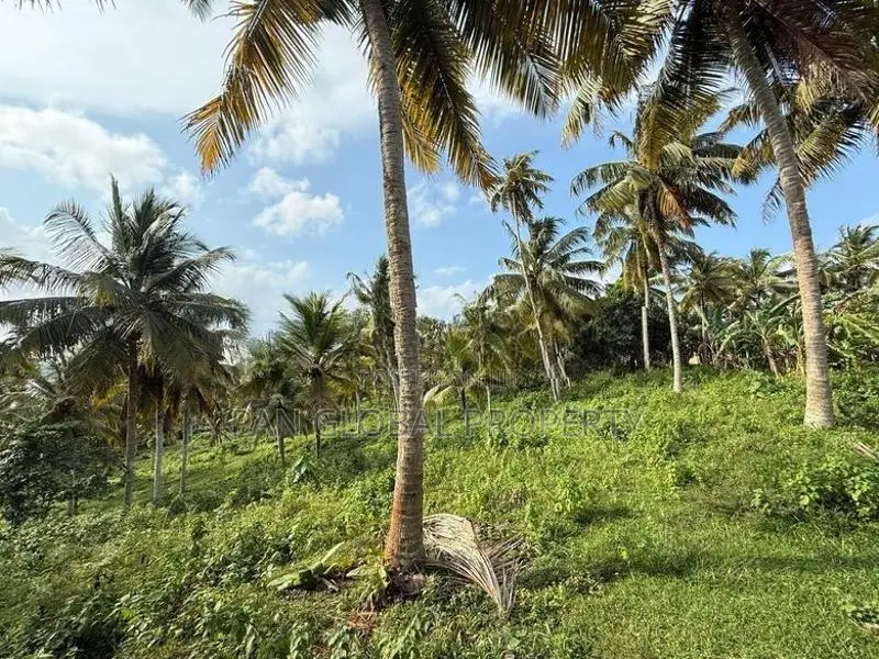 Coconut Estate for Sale in Matara
