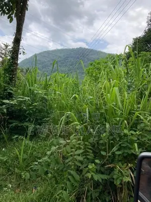 10 acres iLAND for SALE in DEHIOVITA Atulugama