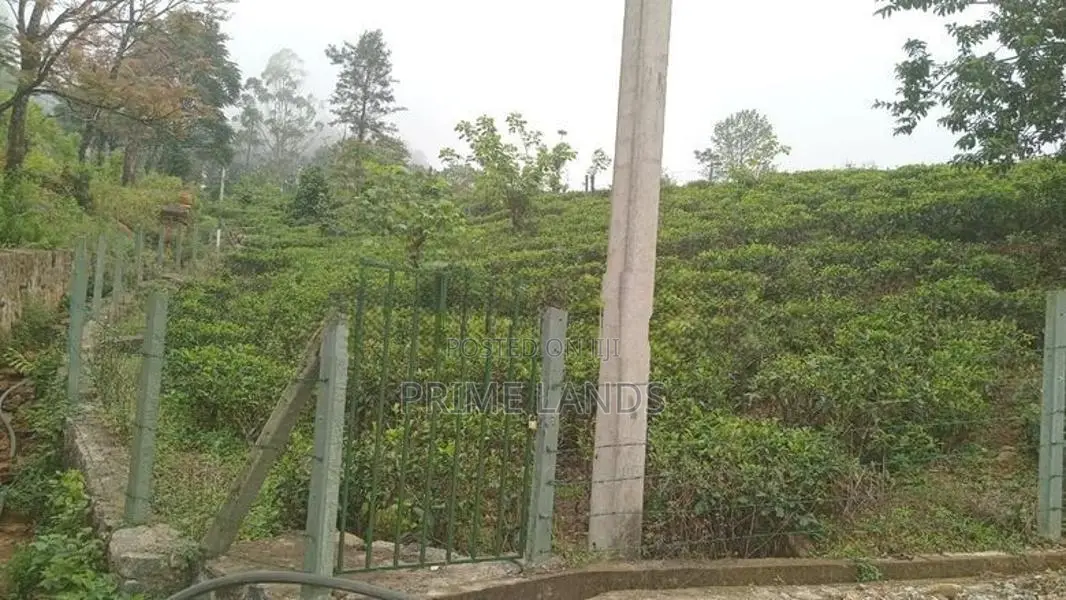 Forest View Point Land For Nuwara Eliya