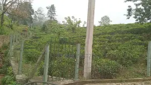 Forest View Point Land For Nuwara Eliya