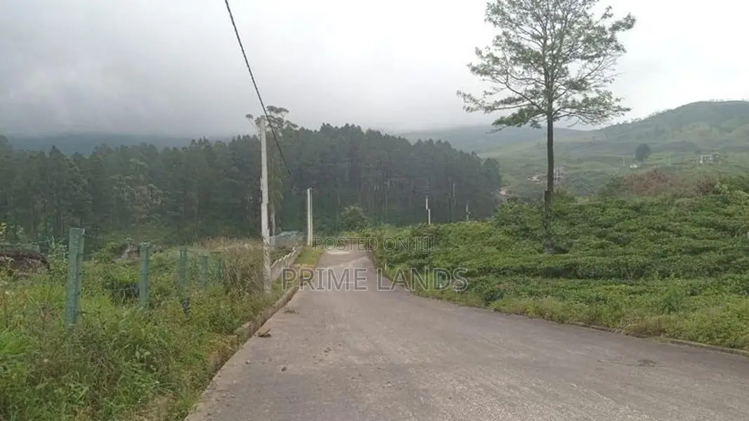 Land For Sale Nuwara Eliya Road