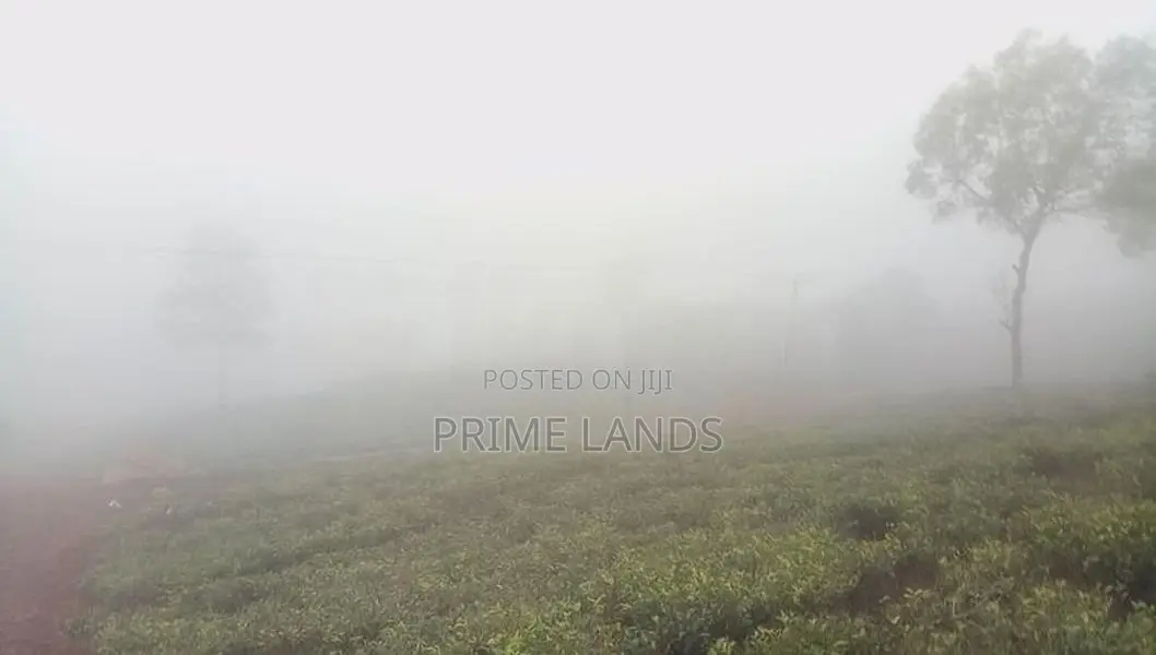 Land For Sale Nuwara Eliya