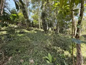Land for Sale in Kandy