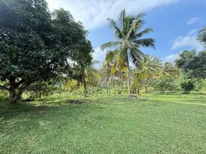 Coconut Estate for Sale in Matara