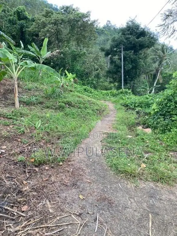 10 acres iLAND for SALE in DEHIOVITA Atulugama