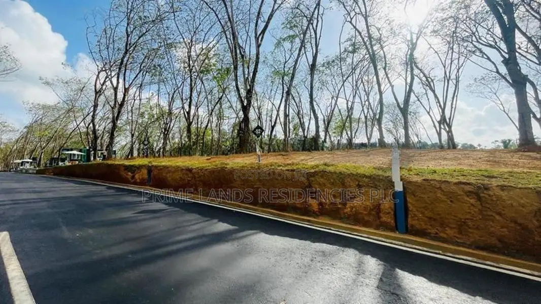 valuable flat Lands for sale in Homagama Thalagala