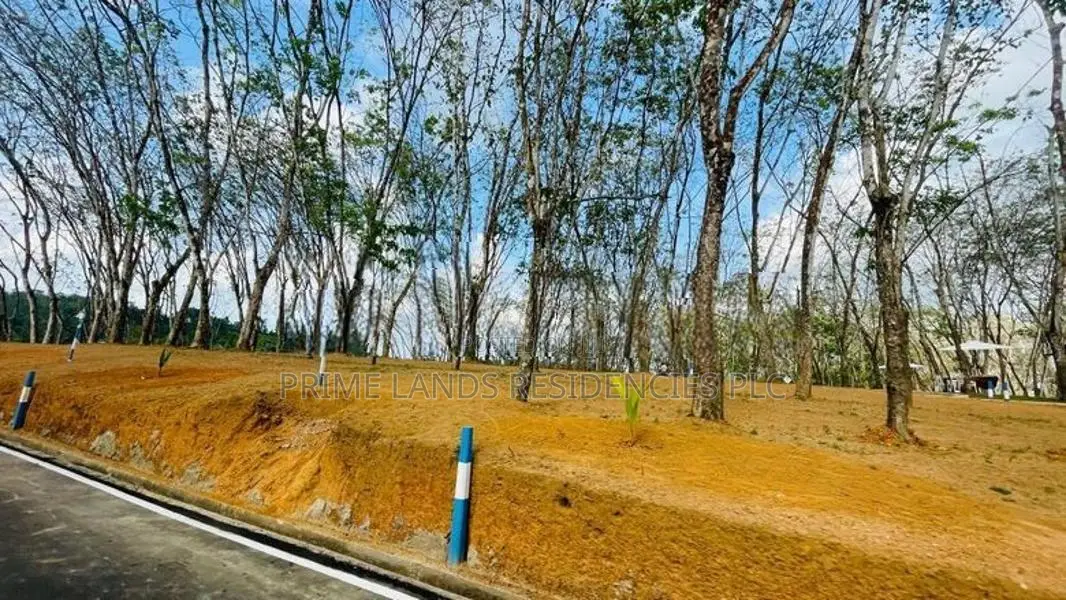 valuable flat Lands for sale in Homagama Thalagala