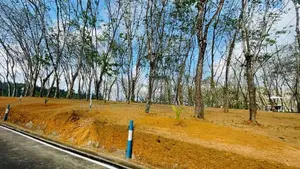 valuable flat Lands for sale in Homagama Thalagala