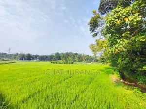 Paddy Field Front Land for Sale Kadawatha