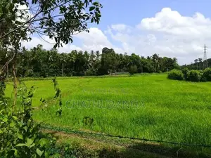 Paddy Field Front Land for Sale Kadawatha