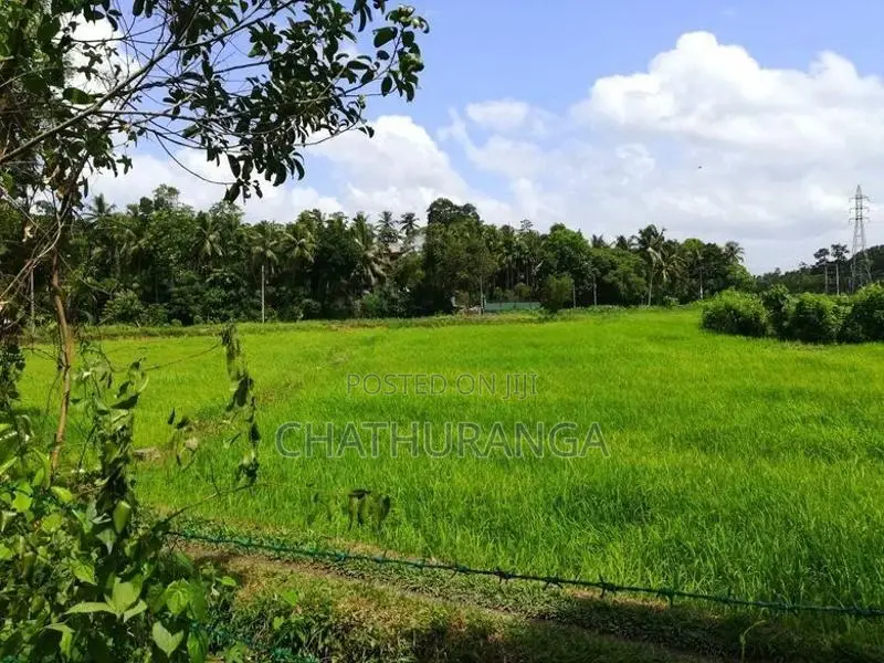 Paddy Field Front Land for Sale Kadawatha
