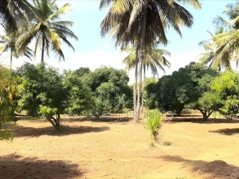 Estate for Sale in Kurunegala