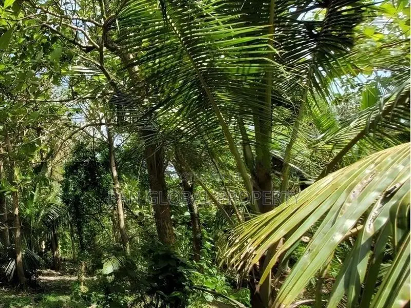 Estate for Sale in Kurunegala
