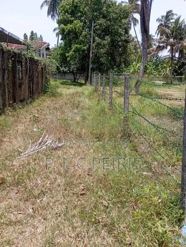 Land For Sale, Negombo,Bolawalana.Gampaha.