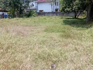 Land For Sale, Negombo,Bolawalana.Gampaha.