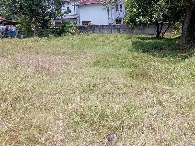 Land For Sale, Negombo,Bolawalana.Gampaha.