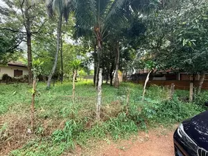 Land For Sale In Borelasgamuwa - CL823