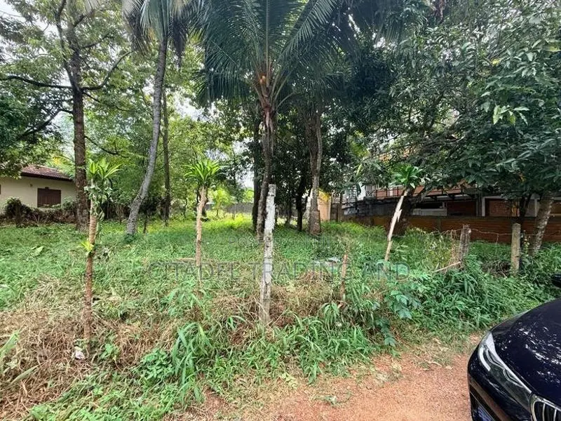 Land For Sale In Borelasgamuwa - CL823