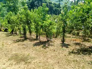 (AF772) 28 Acres Highly Estate Land with House in Eheliyagoda for Sale