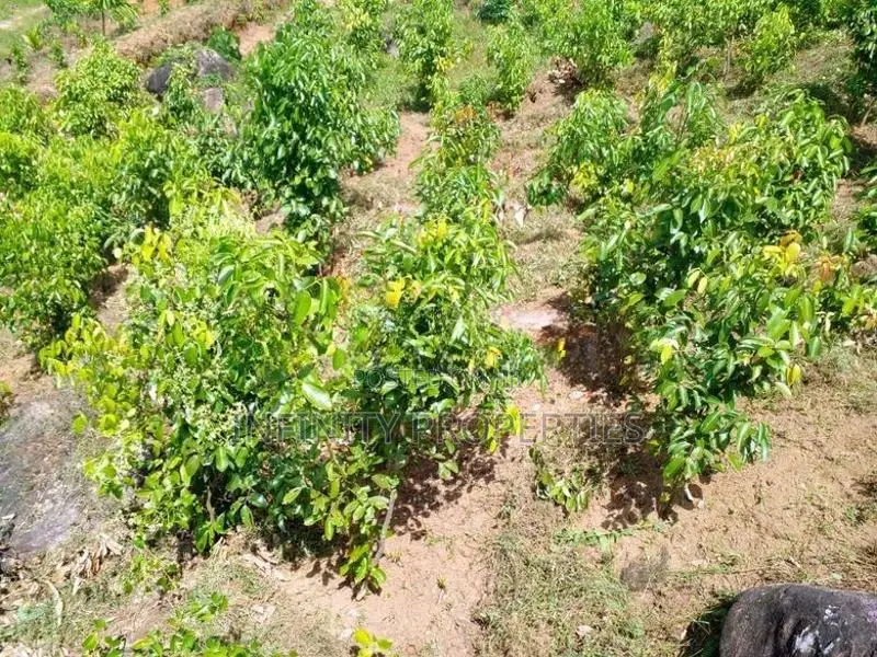 (AF772) 28 Acres Highly Estate Land with House in Eheliyagoda for Sale