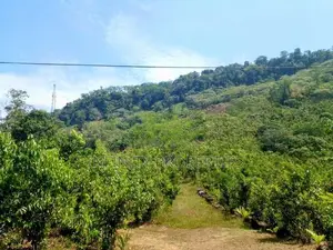 (AF772) 28 Acres Highly Estate Land with House in Eheliyagoda for Sale
