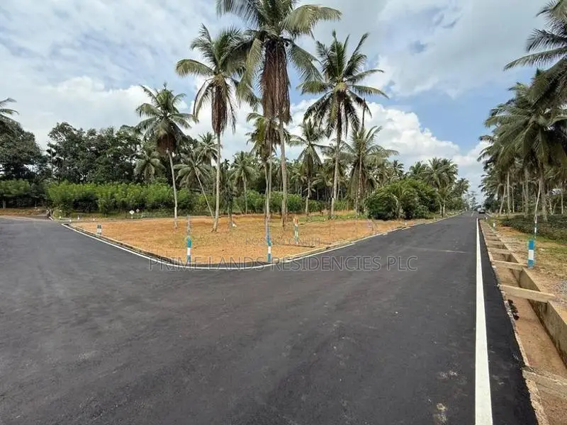 Agricultural and Residential purposes Land for sale in Homagama