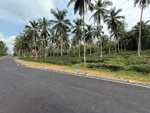 Agricultural and Residential purposes Land for sale in Homagama