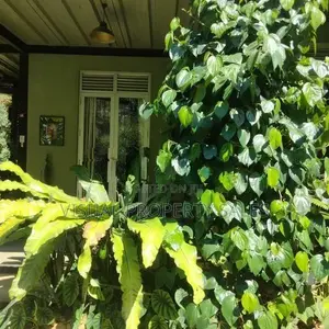 House for sale Anniwatte