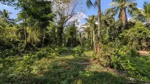 Land for sale in Urapola
