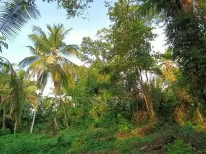 Land for sale in Urapola